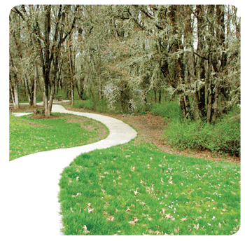 pathways