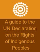 Community Guide to the UN Declaration on the Rights of Indigenous Peoples