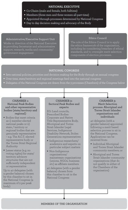 Structure of the National Representative Body diagram