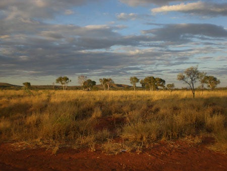 Photo of Mt Theo homeland