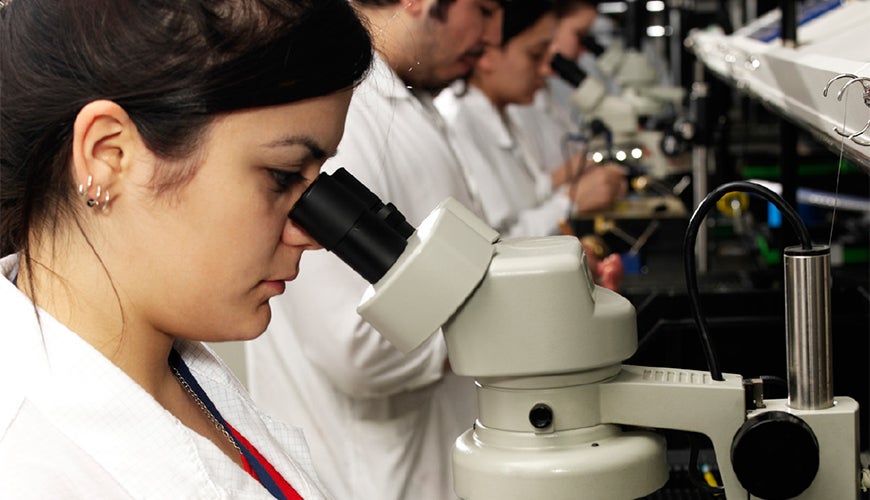 Female and male technical workers