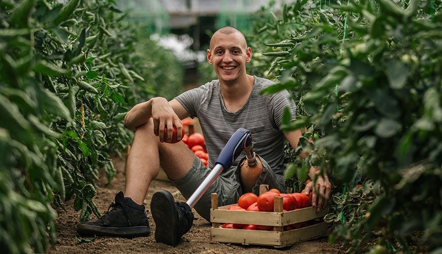 A young man with a prosthetic leg is sitting on the ground between rows of tomato plants. He is picking tomatoes and smiling