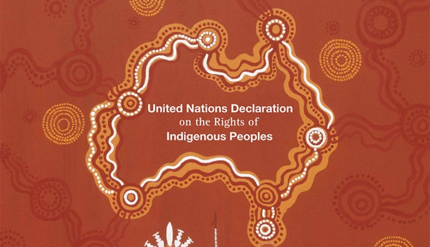 United Nations Declaration on the Rights of Indigenous Peoples