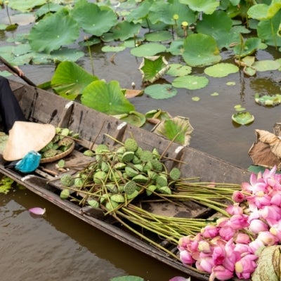 Tourism in Vietnam